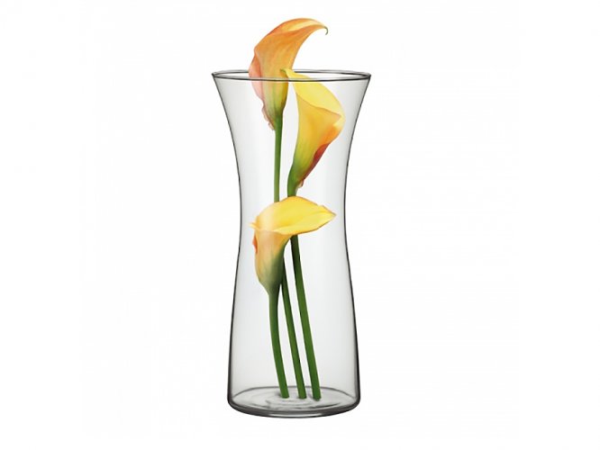 Váza skleněná ROSE 300 (30030) SIMAX